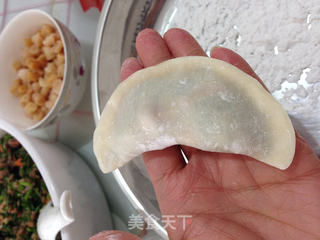 【私房韭菜饺子】的做法步骤:12