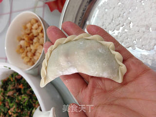 【私房韭菜饺子】的做法步骤:13