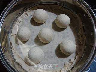 家常面食-----【全麦馒头】的做法步骤:7