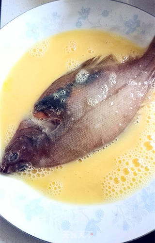 香煎偏口鱼的做法步骤:5