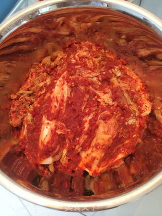 韩国泡菜的做法步骤:10