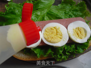 三明治的做法步骤：6