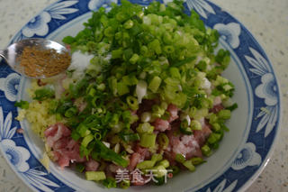 家常大肉包子的做法步骤:8
