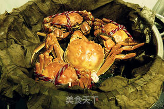 荷香原味大闸蟹的做法步骤:5