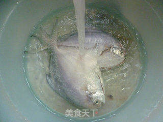 香煎鲳鱼的做法步骤：2
