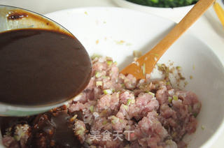 冬季速冻食品之---松软爽滑猪肉面筋大丸子的做法步骤:5