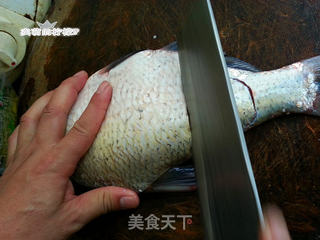 农家小米椒烧武昌鱼的做法步骤:2