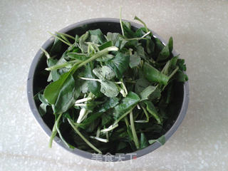 鸡汤菜肉馄沌的做法步骤:3