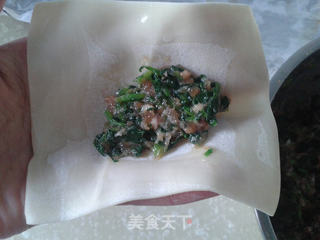 鸡汤菜肉馄沌的做法步骤:8