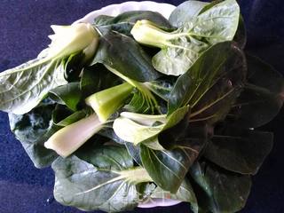 青菜烧肉丸的做法步骤:4