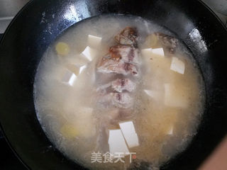 不用任何增鲜调料也很鲜美的汤——枸杞鲫鱼豆腐汤的做法步骤:9