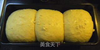 南瓜椰蓉吐司的做法步骤：7