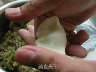 海米萝卜饺子的做法步骤:9