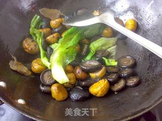 栗子煮香菇的做法步骤:6