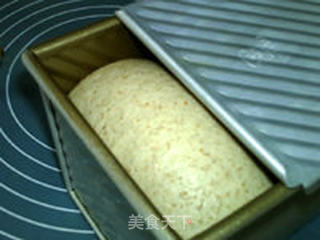 中种全麦土司的做法步骤:16