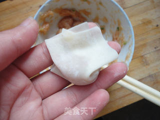 鸡肉小馄饨的做法步骤:9