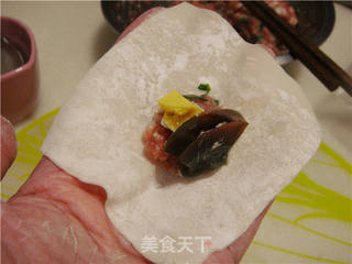 双蛋鲜肉馄饨的做法步骤:12