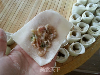 虾肉小混沌的做法步骤:4