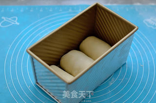 【番茄配方】奶香吐司——详解吐司的基本做法的做法步骤:12