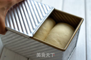 【番茄配方】奶香吐司——详解吐司的基本做法的做法步骤:13
