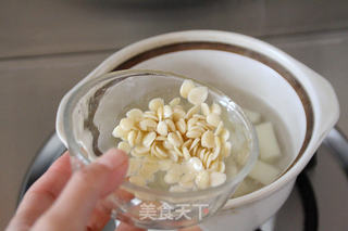 【南北杏甜蔗雪耳炖木瓜】的做法步骤:5