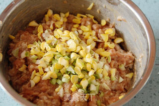 【鲜肉虾皮馄饨】的做法步骤:13