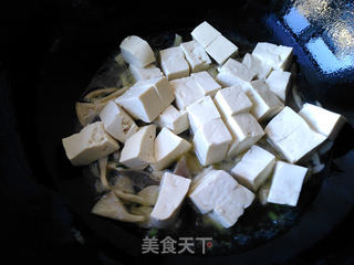 平菇烧豆腐的做法步骤:6