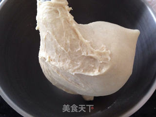 葡萄干小餐包(厨师机版)的做法步骤:3