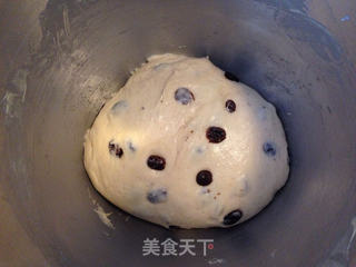 葡萄干小餐包(厨师机版)的做法步骤:7