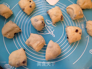 葡萄干小餐包(厨师机版)的做法步骤:9