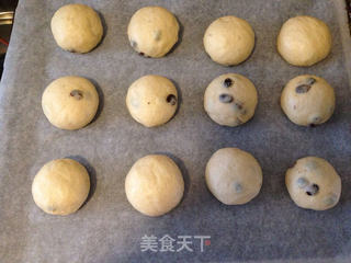 葡萄干小餐包(厨师机版)的做法步骤:10