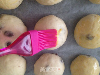 葡萄干小餐包(厨师机版)的做法步骤:11