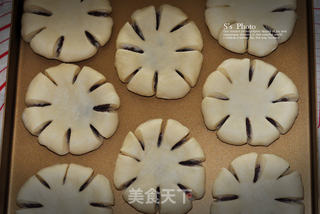 花儿豆沙面包的做法步骤:10