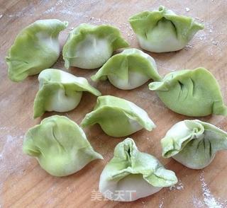 西葫羊肉白菜型饺子的做法步骤:7
