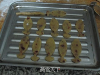 蔓越莓饼干的做法步骤：12