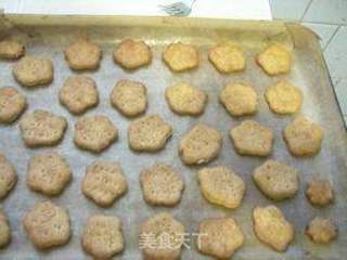 奶香苏打饼干的做法步骤:10