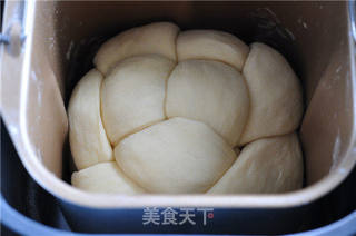 面包机版老式面包的做法步骤:14