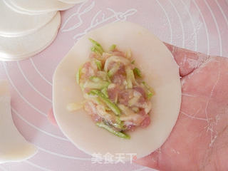 西葫芦鲜肉水饺的做法步骤:5