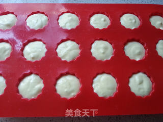迷你酸奶乳酪小蛋糕的做法步骤:18