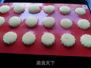 迷你酸奶乳酪小蛋糕的做法步骤:20