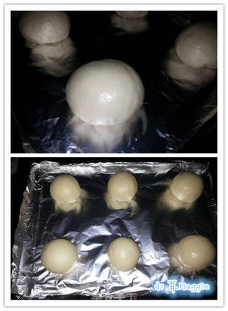 帕帕罗蒂面包PappaRoti(手工揉面)的做法步骤:26