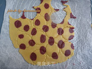 咸香芝士双色饼干的做法步骤:11
