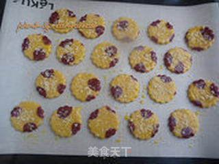 咸香芝士双色饼干的做法步骤:12