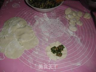 韭菜鲜肉饺子的做法步骤:6