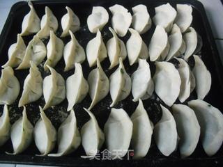 韭菜鲜肉饺子的做法步骤:7