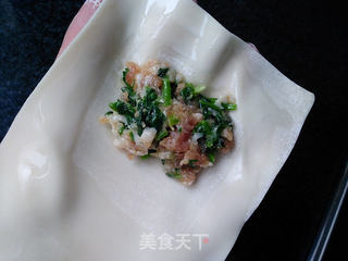 生煎荠菜馄饨的做法步骤:4