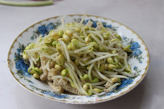 下酒好菜——烤麸拌豆芽的做法步骤:4