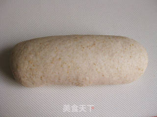 黑麦胚芽面包的做法步骤:9