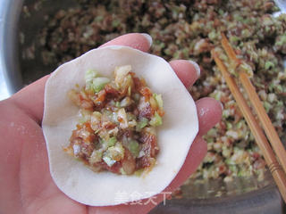 传统经典---白菜肉水饺的做法步骤:10