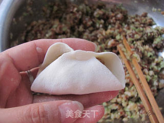 传统经典---白菜肉水饺的做法步骤:11